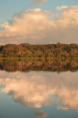 Trees and sky reflected in a river in the Amazon rainforest