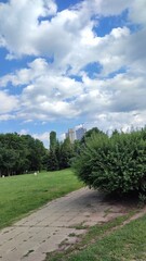 View in the park