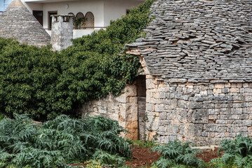 Scenic overgrown trullo apart from the tourist attraction pace in Alberobello, Southern Italy