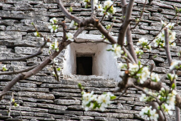 Iconic residential houses in historic Trulli district in Alberobello, Southern Italy