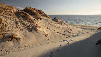 Holmsland Dunes