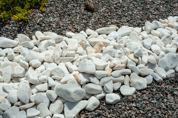 Pebbles, small white stones, the texture of the stone. Flower bed design, garden decor with green plant