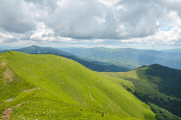 Wooded green valley with grassy slopes and grazing pastures of Ukrainian Carpathian Mountains. Natural background and travel destination
