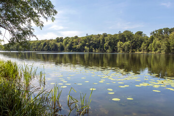 Fototapeta na wymiar Groß Behnitzer See, Groß Behnitz, Havelland