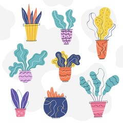 hand drawn set of home plants in scandinavian style. interior design and home decoration