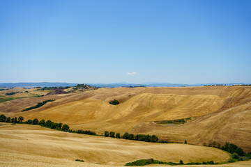 Tuscany landscape with yellow dry fields in summer