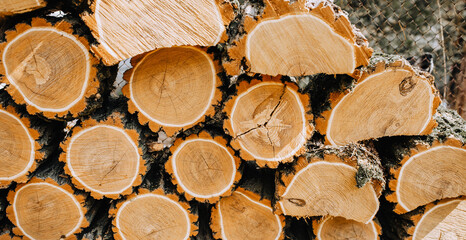 Background, texture of a lot of round brown wooden logs, close-up firewood from acacia, spruce for heating, stacked in a row.