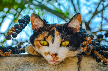 Mia!!!
