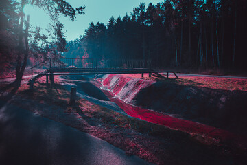 Fototapety na wymiar - Fototapeta24.pl