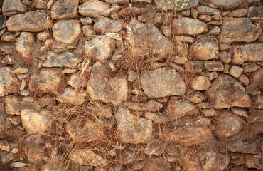 Dried herbs in front of an old stone wall. Stone wall background. It's summertime.