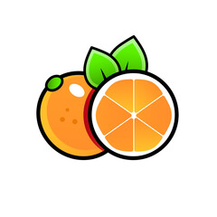 Orange whole and slices of oranges. Vector illustration of oranges. Fully editable handmade