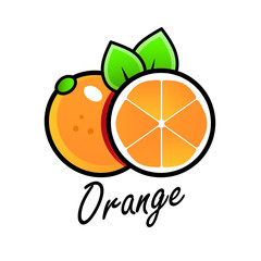 Orange whole and slices of oranges. Vector illustration of oranges. Fully editable handmade