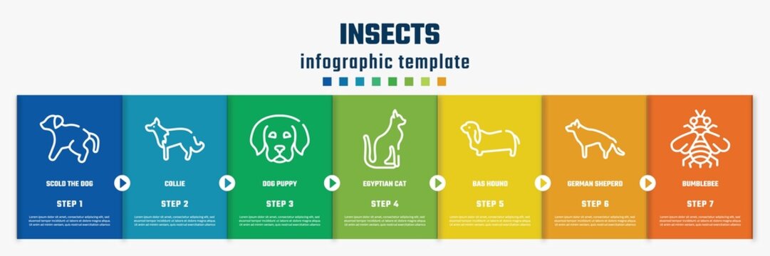 Insects Concept Infographic Design Template. Included Scold The Dog, Collie, Dog Puppy, Egyptian Cat, Bas Hound, German Sheperd, Bumblebee Icons And 7 Option Or Steps.