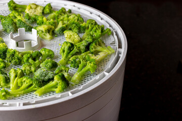 Dehydrating tray filled with broccoli ready to dry for food preservation