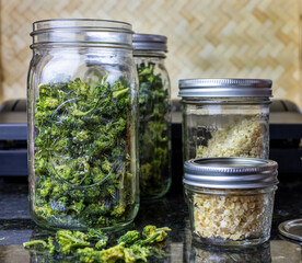 Dehydrated broccoli and chopped garlic in mason jar for food preservation and survival