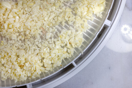 Crumbled Cauliflower laid on a dehydrating tray for food preservation