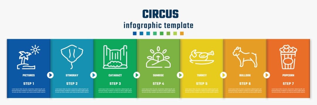 circus concept infographic design template. included pictures, stingray, cataract, sunrise, turkey, bulldog, popcorn icons and 7 option or steps.