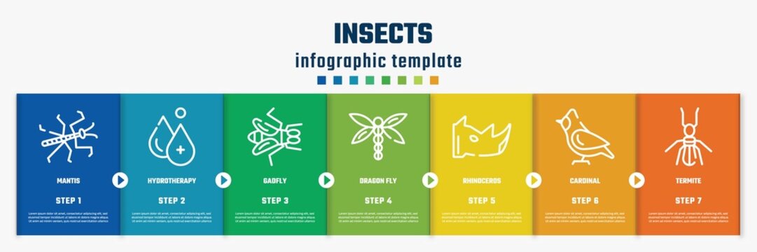 insects concept infographic design template. included mantis, hydrotherapy, gadfly, dragon fly, rhinoceros, cardinal, termite icons and 7 option or steps.