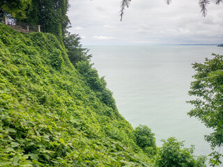 Sea view from a high point. Environment.   Nature. In the botanical garden.