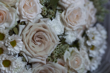 A beautiful bouquet of beige, cream roses and white chrysanthemums. Background floral image of pastel colors. Natural, environmentally friendly natural background. A copy of the place for the text.