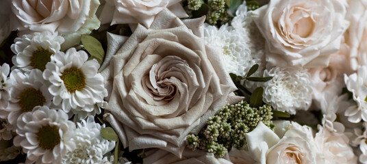 A beautiful bouquet of beige, cream roses and white chrysanthemums. Background floral image of pastel colors. Natural, environmentally friendly natural background. A copy of the place for the text.