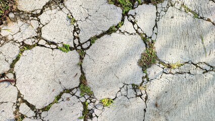 Obraz premium texture of the cement floor