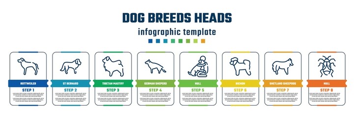 dog breeds heads concept infographic design template. included rottweiler, st bernard, tibetan mastiff, german sheperd, null, bichon, shetland sheepdog, null icons and 8 steps or options.