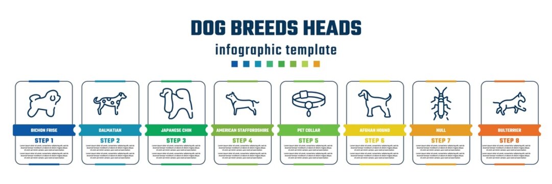 Dog Breeds Heads Concept Infographic Design Template. Included Bichon Frise, Dalmatian, Japanese Chin, American Staffordshire Terrier, Pet Collar, Afghan Hound, Null, Bulterrier Icons And 8 Steps Or