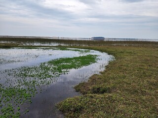 córrego, arroio, água