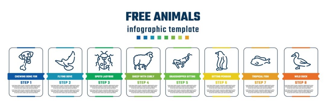 free animals concept infographic design template. included chewing bone for dog, flying dove, spots ladybug, sheep with curly wool, grasshopper sitting, sitting penguin, tropical fish, wild duck