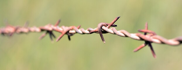Detalle de las púas de un alambre de espino