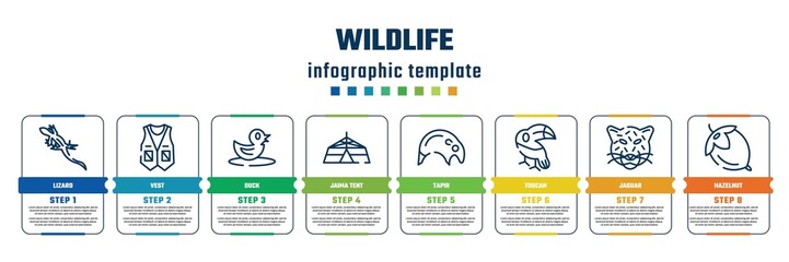 wildlife concept infographic design template. included lizard, vest, duck, jaima tent, tapir, toucan, jaguar, hazelnut icons and 8 steps or options.