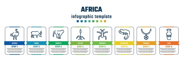 africa concept infographic design template. included ostrich, moose, monkeys, cattail, gerridae, chameleon, pendant, vase icons and 8 steps or options.