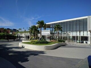 Obraz premium Palm tree at the office with clear blue sky at the background