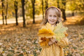 Portrait of a beautiful little blonde girl in a yellow dress in an autumn park holding a bouquet of maple leaves.