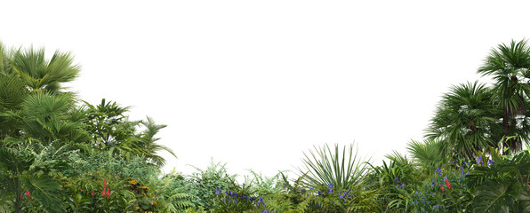 Fototapeta na wymiar Garden with flowers and shrubs on a white background