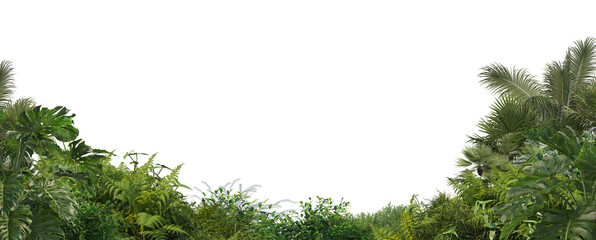 Garden with flowers and shrubs on a white background