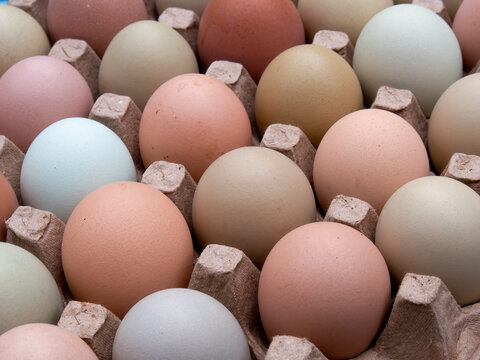Very close-up photography of some assorted color free-range eggs on a carton tray.
