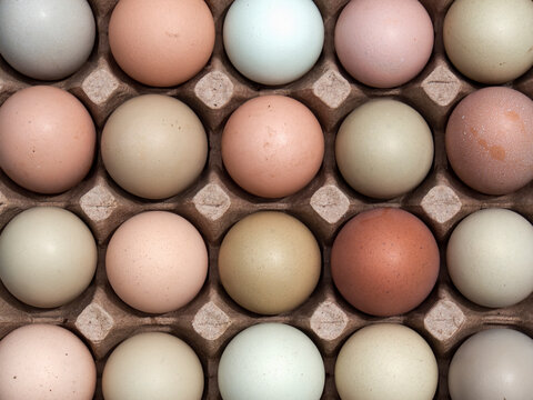 Top view close-up photography of some assorted color free-range eggs on a carton tray.