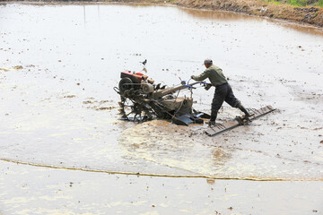 farmers level the land in paddy fields to prepare for transplanting rice seedlings, North China