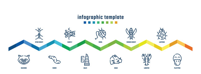 concept infographic design template. included stick insect, raccoon, gadfly, worm, wool, balm, winged insect, boar, ladybug, platypus icons.