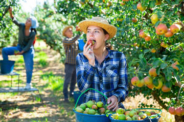 Portrait of young woman farm worker enjoying freshly harvested pears at fruit garden