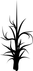 Obraz premium tree silhouette vector