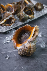 참소라
