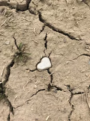 Gordijnen Heart shaped rock in dry cracked earth © rsh25