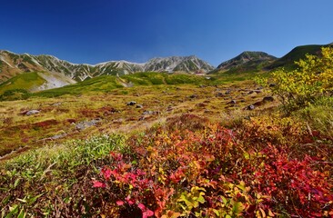 秋・紅葉の立山連峰　