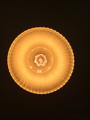 Edison Bulb from Below