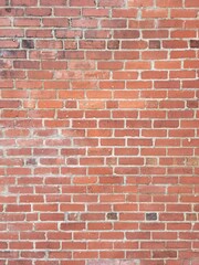 Brick Wall Texture 