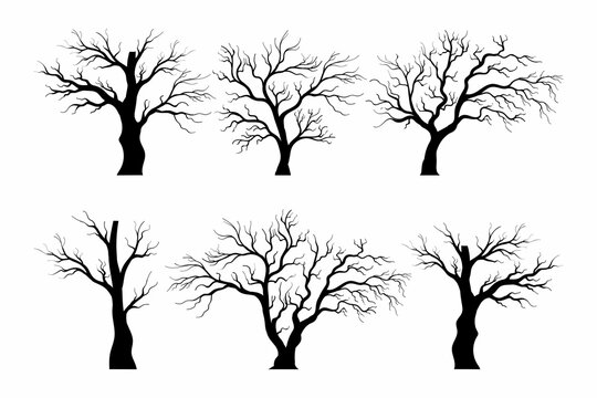 Silhouette of a Big Tree Without Leaves Vectors element collections