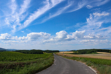 青空と農村の道
